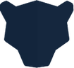 Panther Labs
